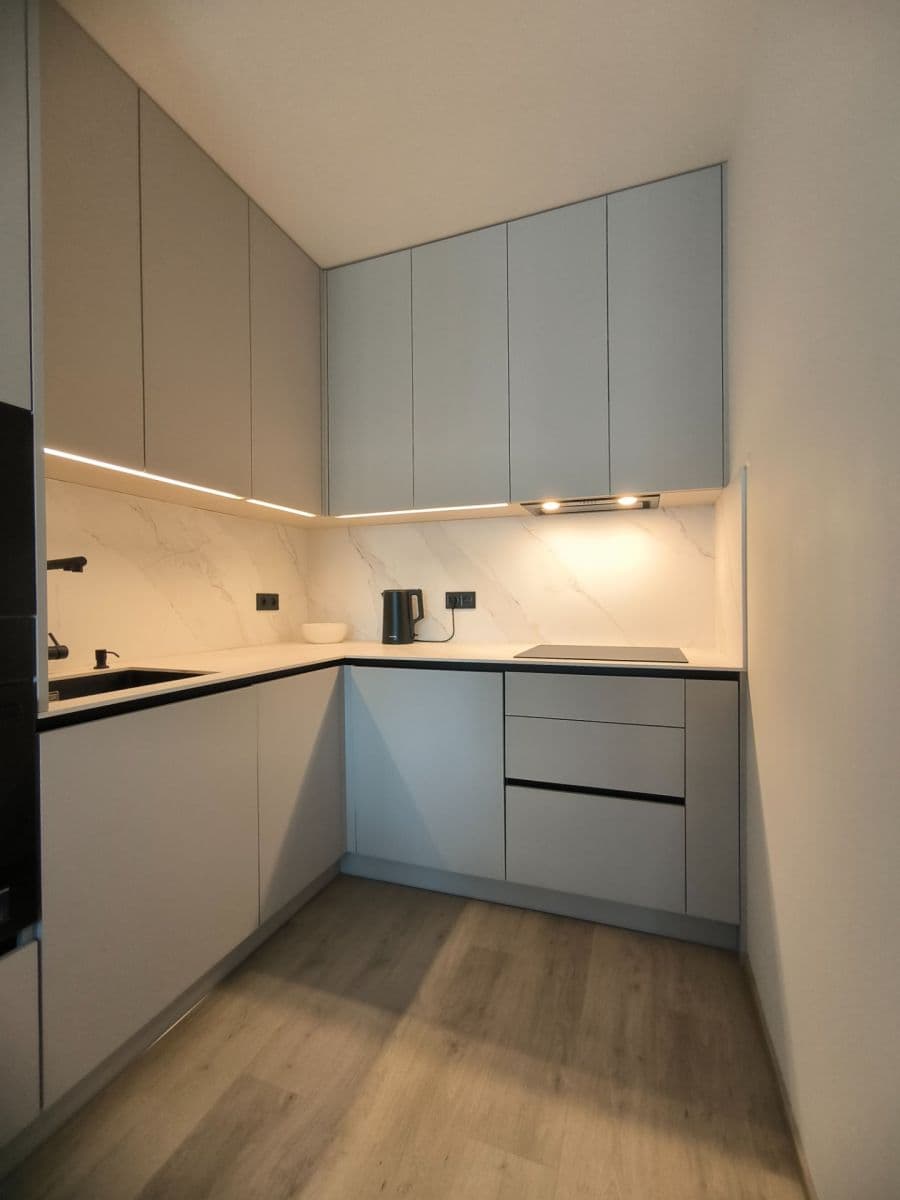 1 bedroom with open-plan kitchen flat to rent, 55 m², Poděbradská, Prague, Prague 1 bedroom with open-plan kitchen flat to rent, 55 m², Poděbradská, Prague, Prague