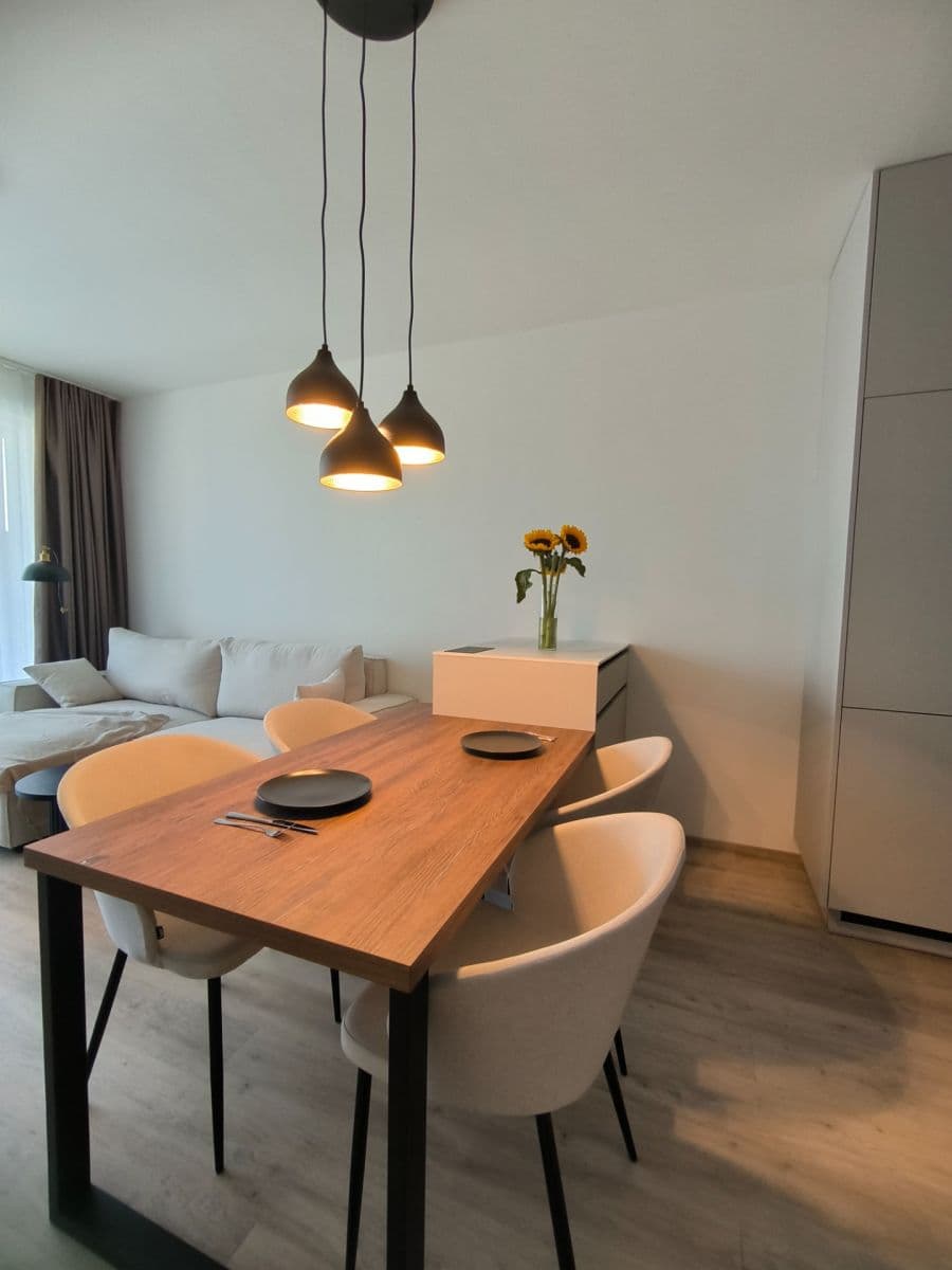 1 bedroom with open-plan kitchen flat to rent, 55 m², Poděbradská, Prague, Prague 1 bedroom with open-plan kitchen flat to rent, 55 m², Poděbradská, Prague, Prague