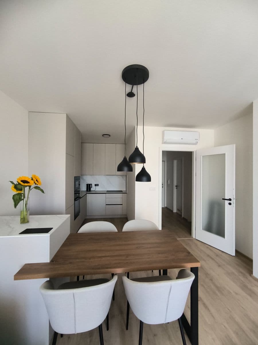 1 bedroom with open-plan kitchen flat to rent, 55 m², Poděbradská, Prague, Prague 1 bedroom with open-plan kitchen flat to rent, 55 m², Poděbradská, Prague, Prague