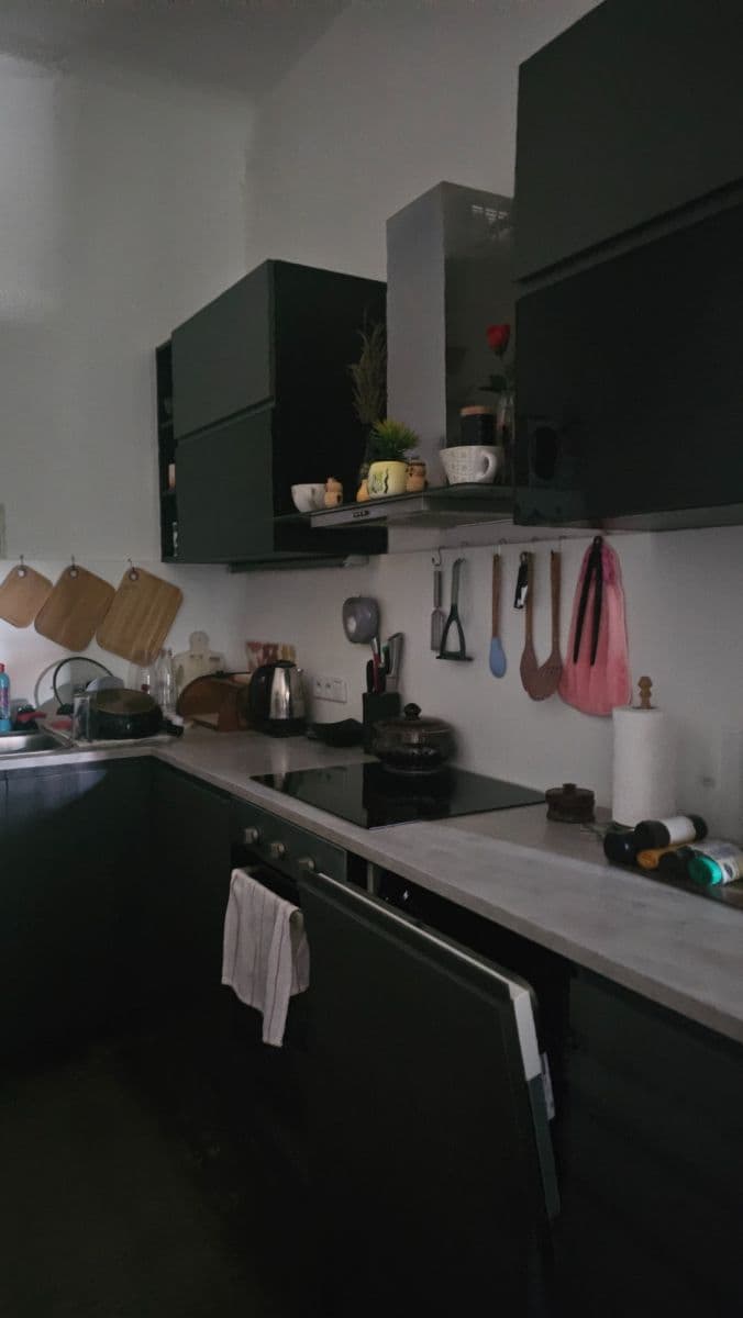 Studio flat to rent, 43 m², Plzeňská, Králův Dvůr, Středočeský Region Studio flat to rent, 43 m², Plzeňská, Králův Dvůr, Středočeský Region
