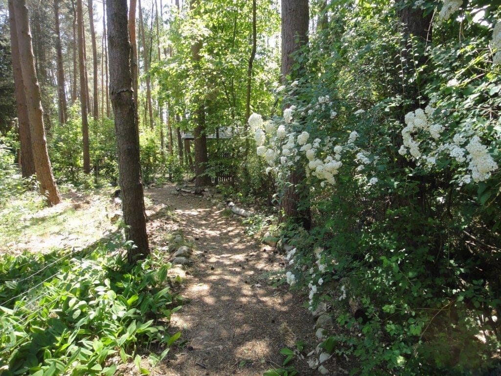 house for sale, 110 m², Hitzacker (Elbe), Lower Saxony house for sale, 110 m², Hitzacker (Elbe), Lower Saxony