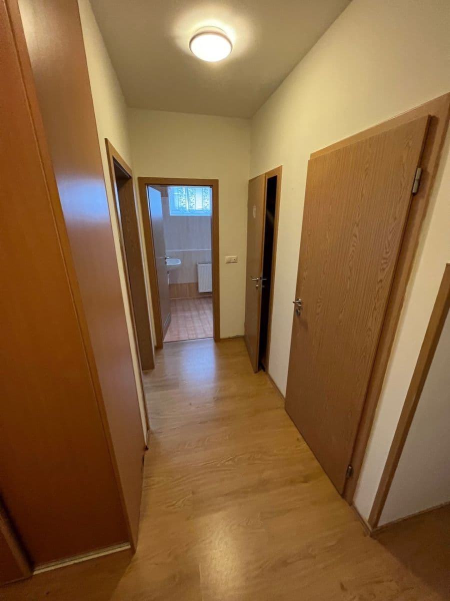 1 bedroom with open-plan kitchen flat to rent, 52 m², Václava Trojana, Prague, Prague 1 bedroom with open-plan kitchen flat to rent, 52 m², Václava Trojana, Prague, Prague