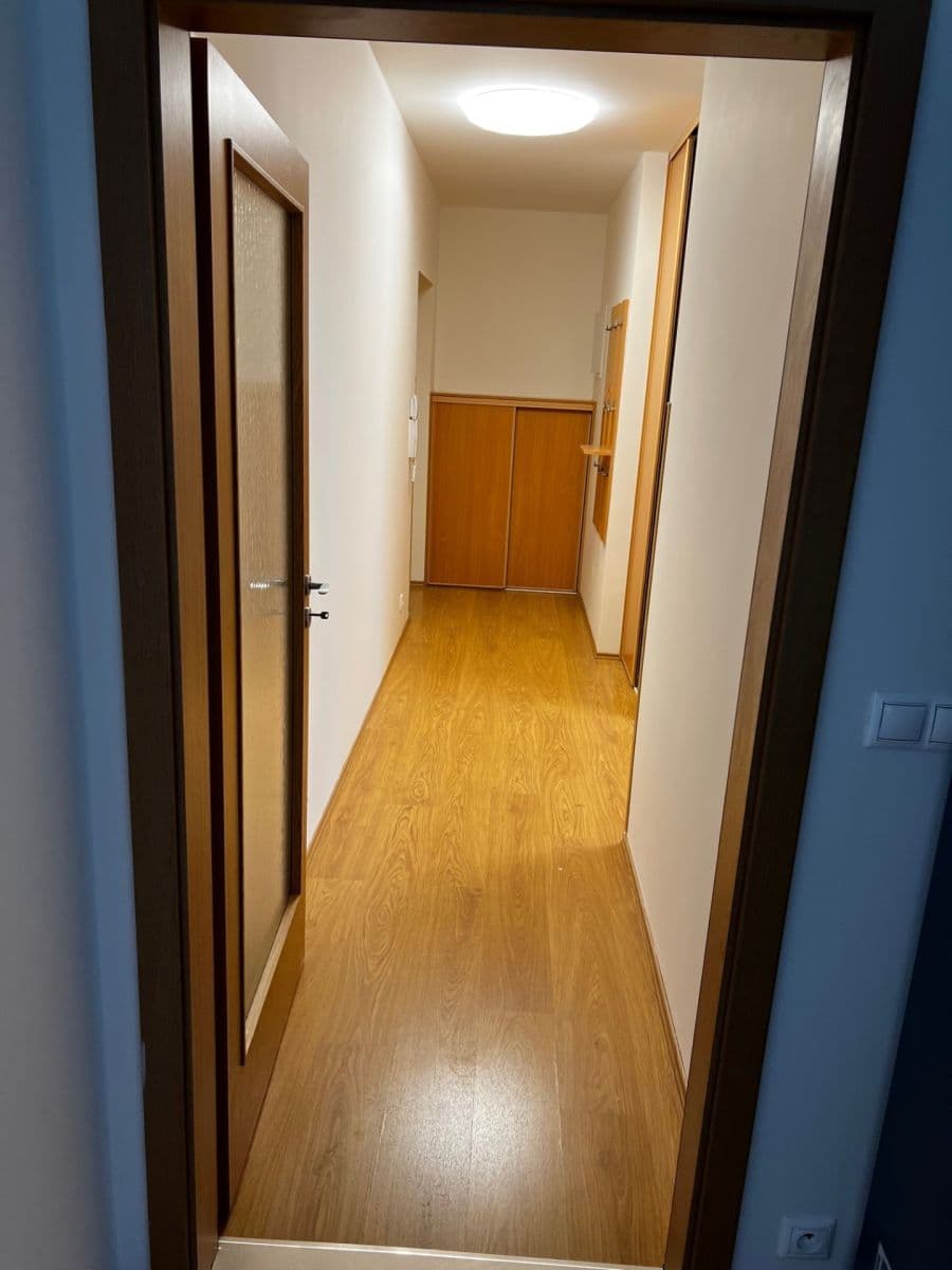 1 bedroom with open-plan kitchen flat to rent, 52 m², Václava Trojana, Prague, Prague 1 bedroom with open-plan kitchen flat to rent, 52 m², Václava Trojana, Prague, Prague