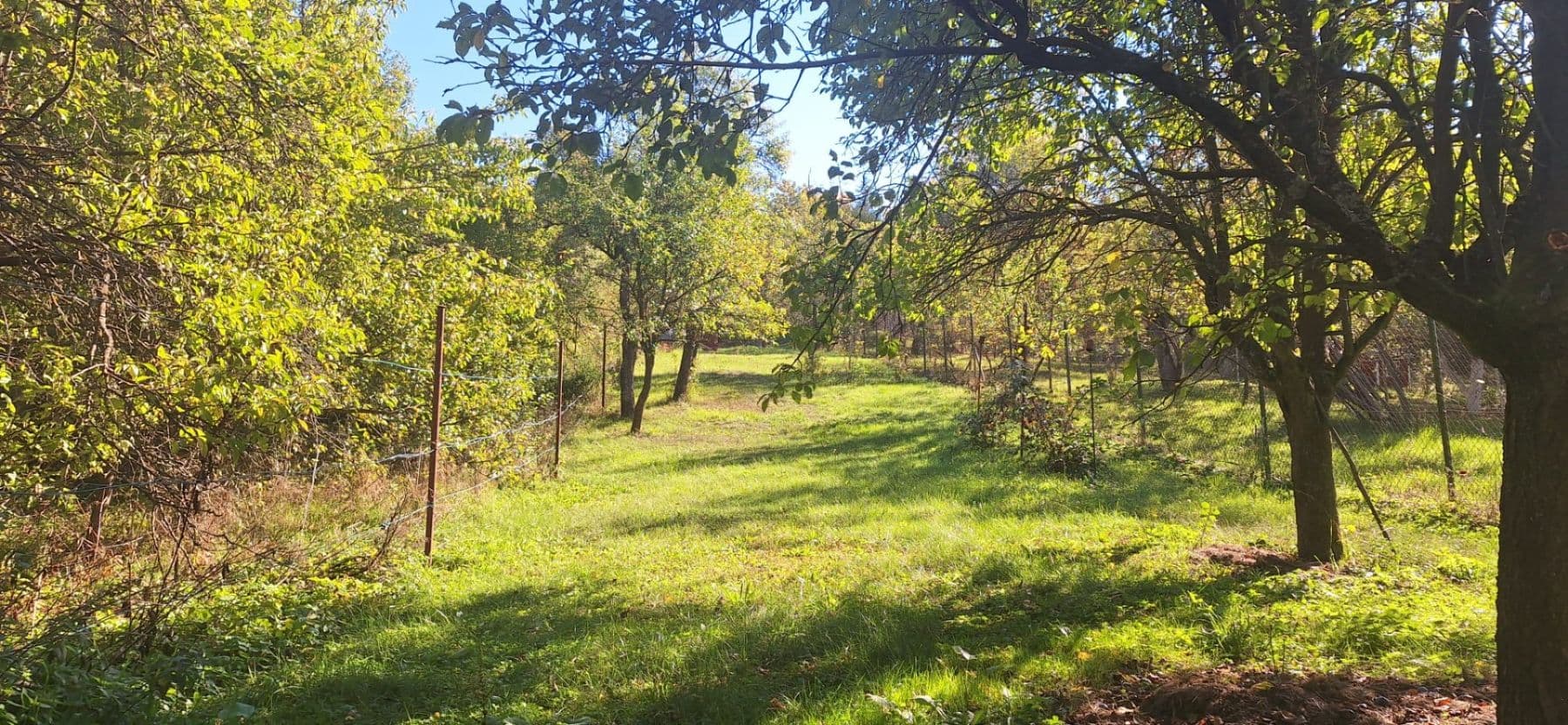 plot for sale, 1,623 m², Habrovany, Jihomoravský Region plot for sale, 1,623 m², Habrovany, Jihomoravský Region