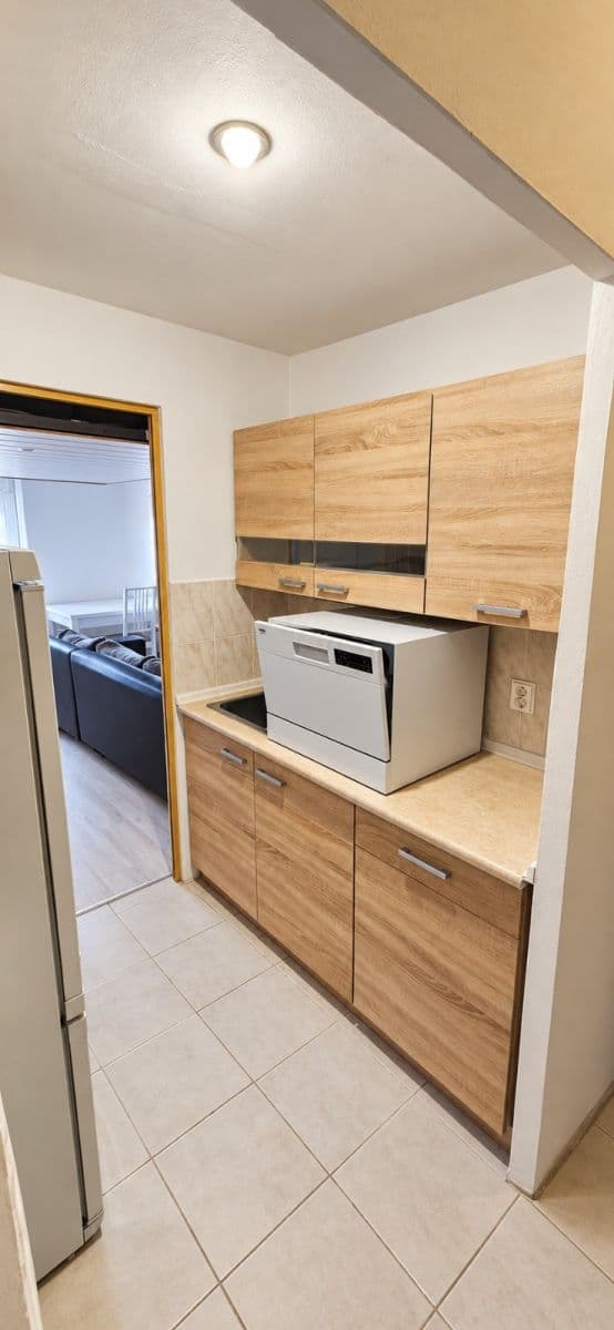 1 bedroom with open-plan kitchen flat to rent, 51 m², Davídkova, Prague, Prague 1 bedroom with open-plan kitchen flat to rent, 51 m², Davídkova, Prague, Prague