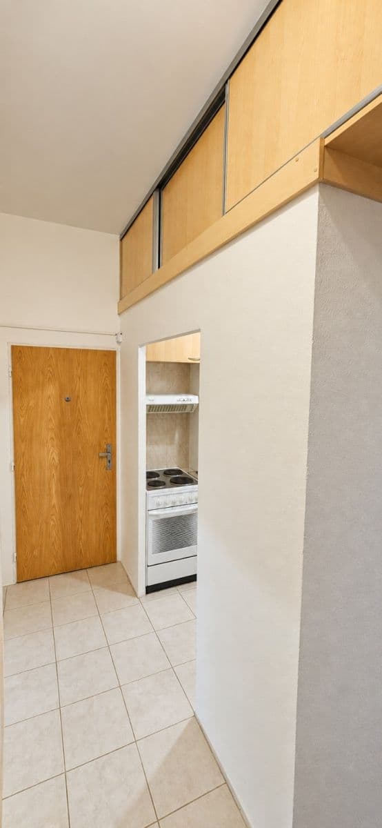 1 bedroom with open-plan kitchen flat to rent, 51 m², Davídkova, Prague, Prague 1 bedroom with open-plan kitchen flat to rent, 51 m², Davídkova, Prague, Prague