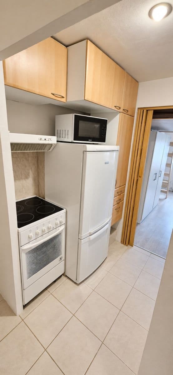 1 bedroom with open-plan kitchen flat to rent, 51 m², Davídkova, Prague, Prague 1 bedroom with open-plan kitchen flat to rent, 51 m², Davídkova, Prague, Prague