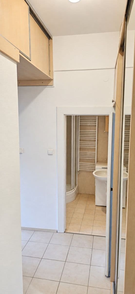 1 bedroom with open-plan kitchen flat to rent, 51 m², Davídkova, Prague, Prague 1 bedroom with open-plan kitchen flat to rent, 51 m², Davídkova, Prague, Prague