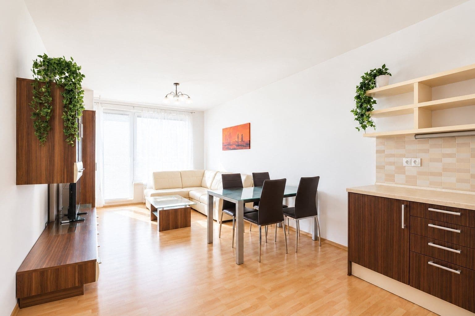 1 bedroom with open-plan kitchen flat to rent, 52 m², Pod Harfou, Prague, Prague 1 bedroom with open-plan kitchen flat to rent, 52 m², Pod Harfou, Prague, Prague