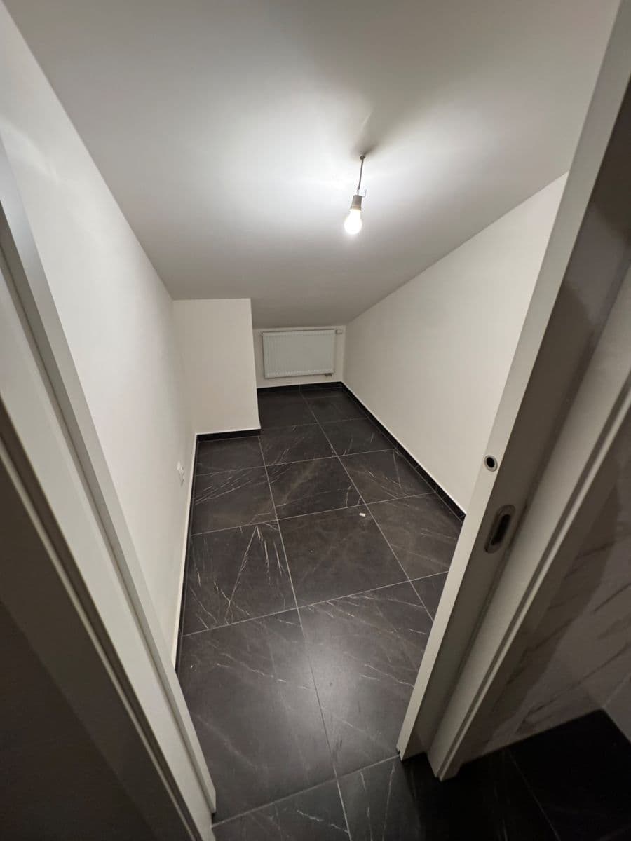1 bedroom with open-plan kitchen flat to rent, 85 m², Tyršova, Prague, Prague 1 bedroom with open-plan kitchen flat to rent, 85 m², Tyršova, Prague, Prague