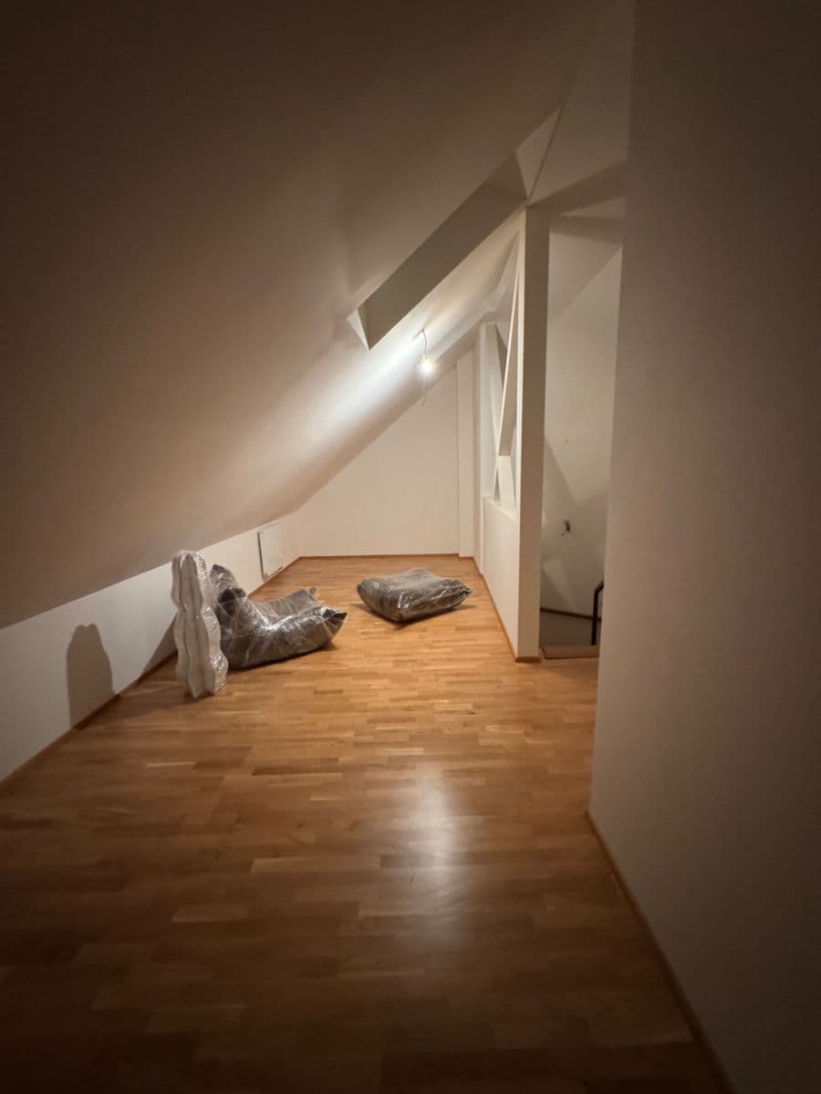 1 bedroom with open-plan kitchen flat to rent, 85 m², Tyršova, Prague, Prague 1 bedroom with open-plan kitchen flat to rent, 85 m², Tyršova, Prague, Prague