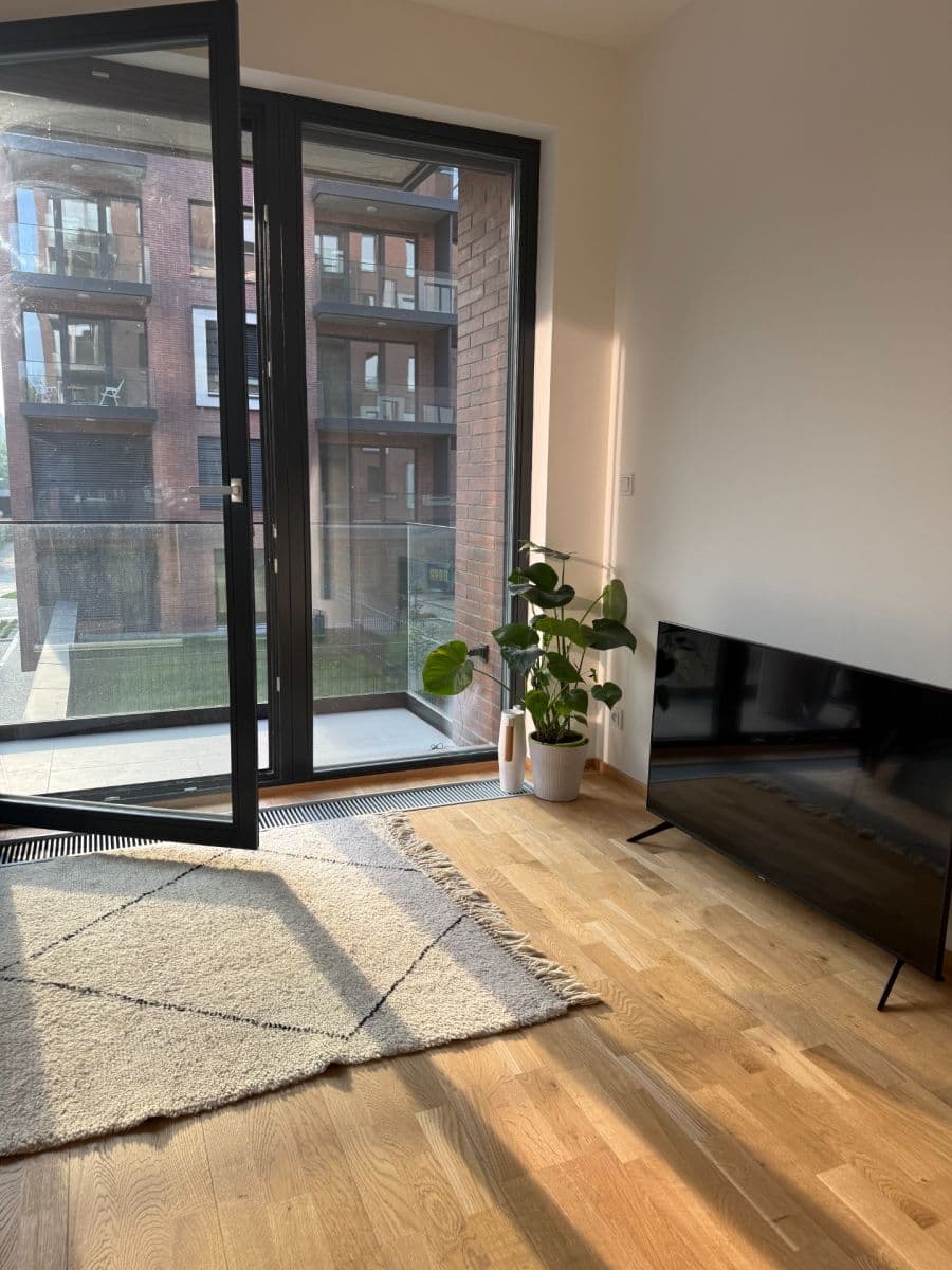 1 bedroom with open-plan kitchen flat to rent, 51 m², Švarcova, Prague, Prague 1 bedroom with open-plan kitchen flat to rent, 51 m², Švarcova, Prague, Prague