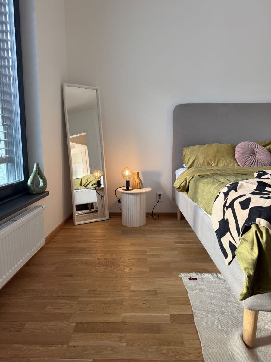 1 bedroom with open-plan kitchen flat to rent, 51 m², Švarcova, Prague, Prague 1 bedroom with open-plan kitchen flat to rent, 51 m², Švarcova, Prague, Prague