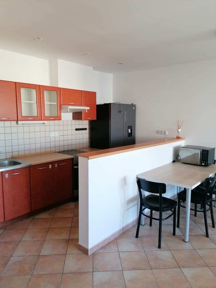 1 bedroom with open-plan kitchen flat to rent, 59 m², Jeseniova, Prague, Prague 1 bedroom with open-plan kitchen flat to rent, 59 m², Jeseniova, Prague, Prague