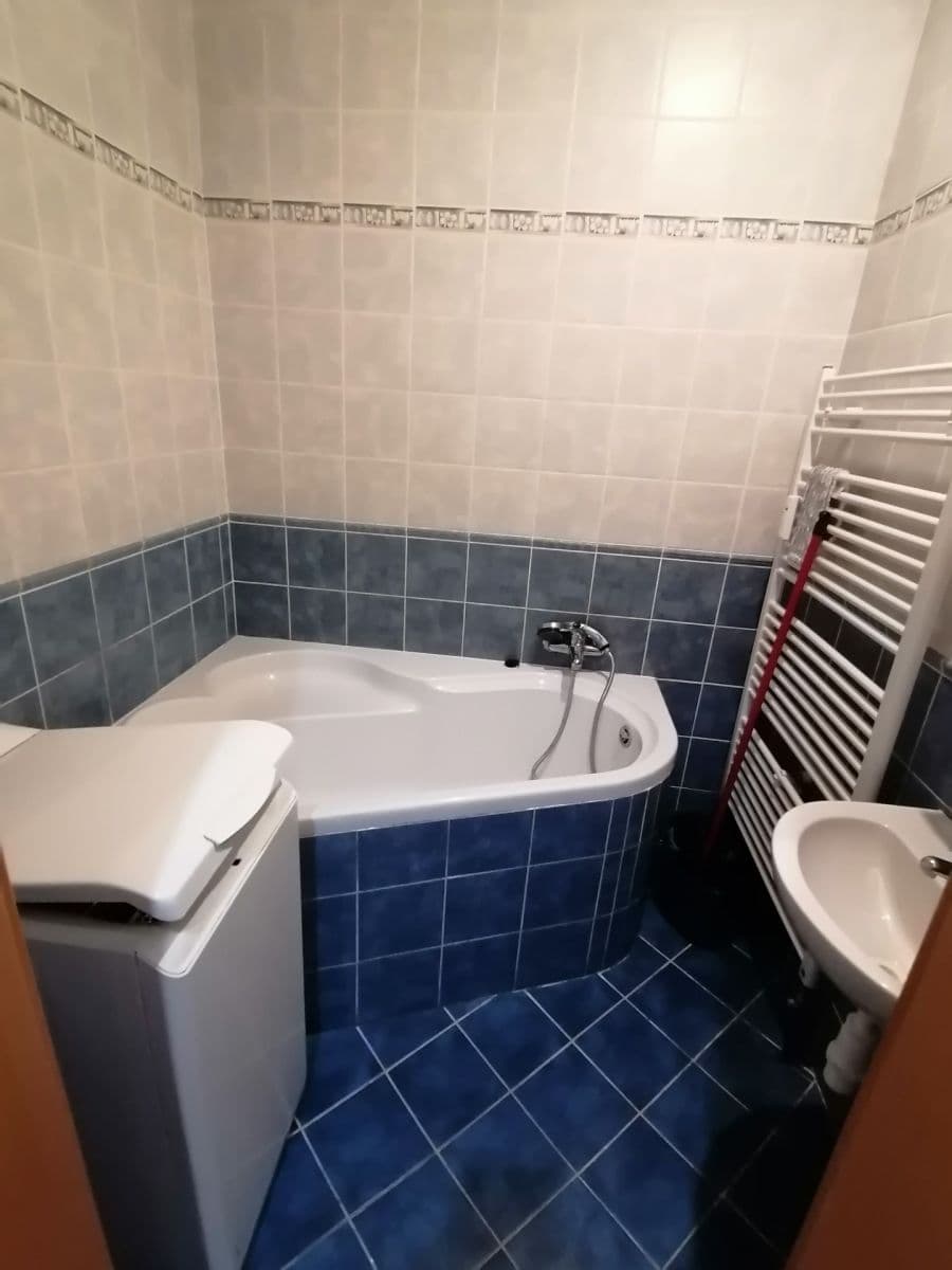 1 bedroom with open-plan kitchen flat to rent, 59 m², Jeseniova, Prague, Prague 1 bedroom with open-plan kitchen flat to rent, 59 m², Jeseniova, Prague, Prague