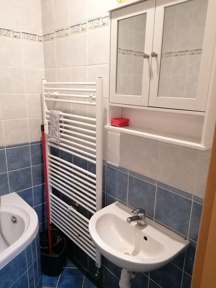 1 bedroom with open-plan kitchen flat to rent, 59 m², Jeseniova, Prague, Prague 1 bedroom with open-plan kitchen flat to rent, 59 m², Jeseniova, Prague, Prague