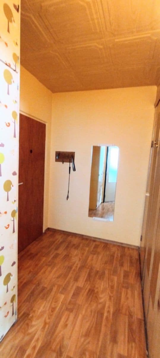 3 bedroom flat for sale, 67 m², U Lomu, Most, Ústecký Region 3 bedroom flat for sale, 67 m², U Lomu, Most, Ústecký Region