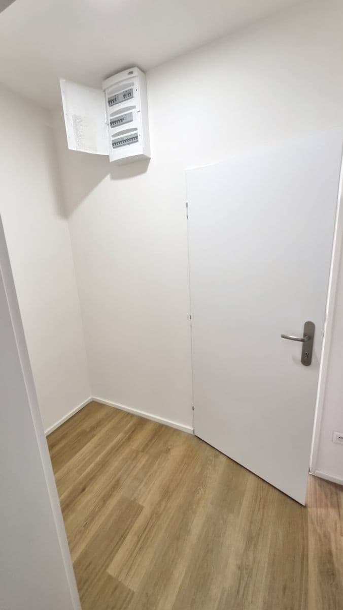 1 bedroom with open-plan kitchen flat to rent, 46 m², Elišky Přemyslovny, Prague, Prague 1 bedroom with open-plan kitchen flat to rent, 46 m², Elišky Přemyslovny, Prague, Prague