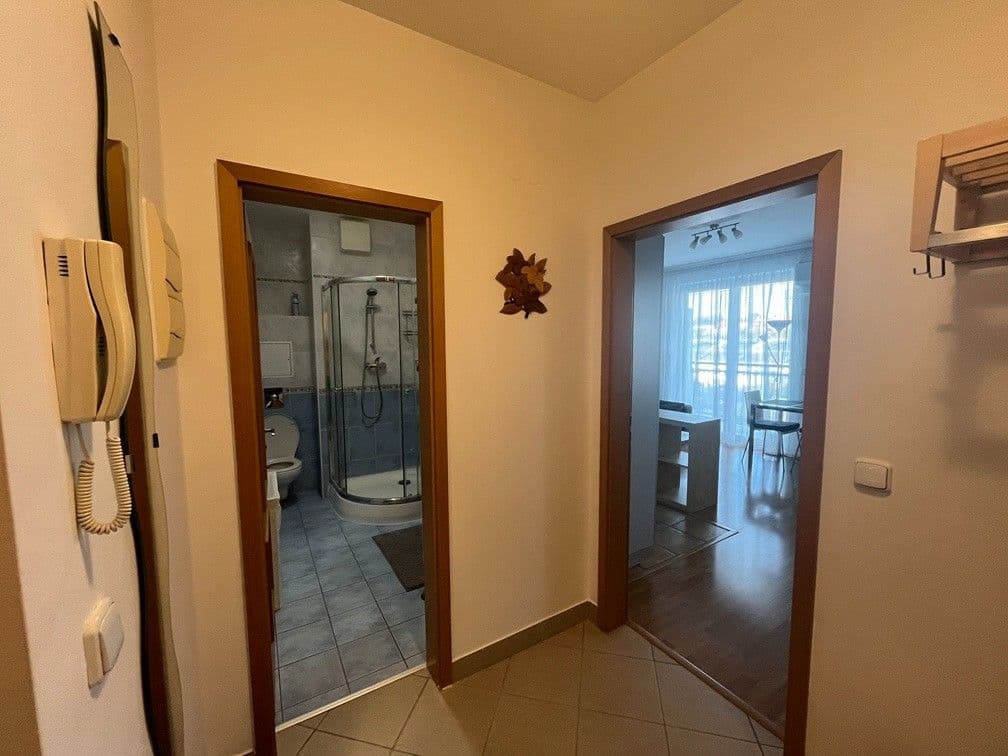 1 bedroom with open-plan kitchen flat to rent, 41 m², Novobohdalecká, Prague, Prague 1 bedroom with open-plan kitchen flat to rent, 41 m², Novobohdalecká, Prague, Prague