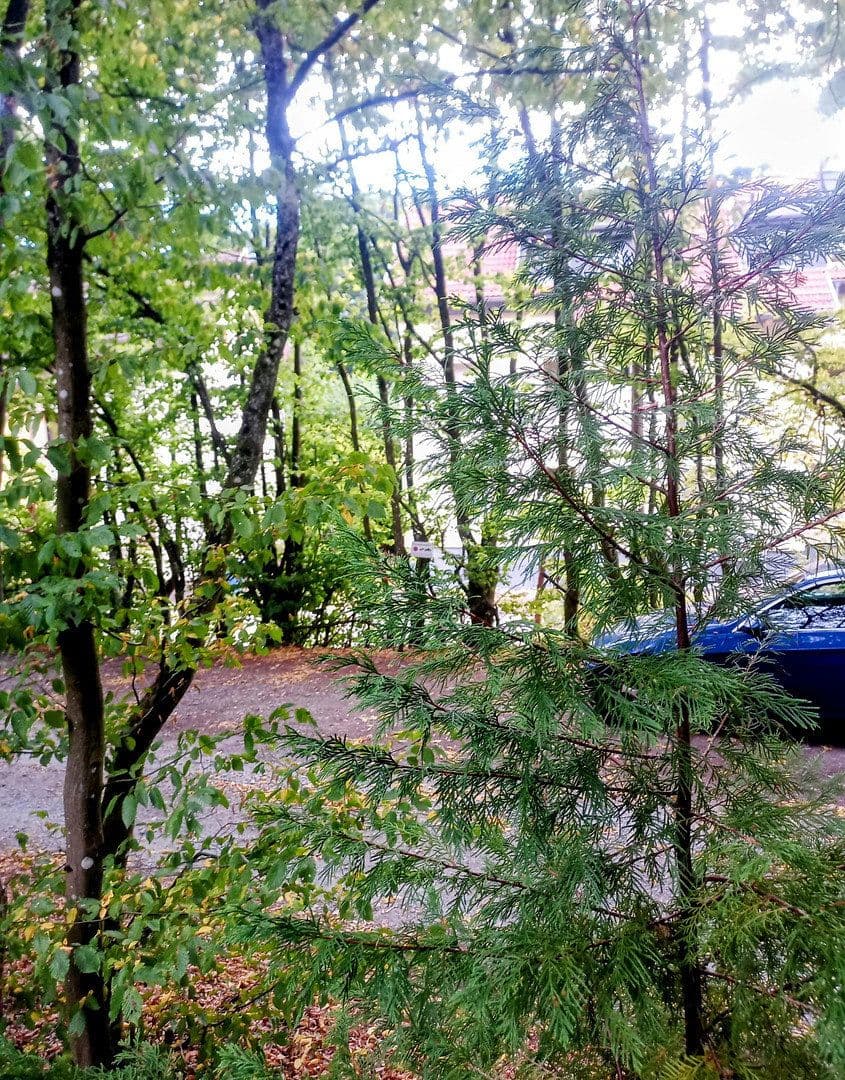2 bedroom flat for sale, 50 m², Oberursel (Taunus), Hesse 2 bedroom flat for sale, 50 m², Oberursel (Taunus), Hesse