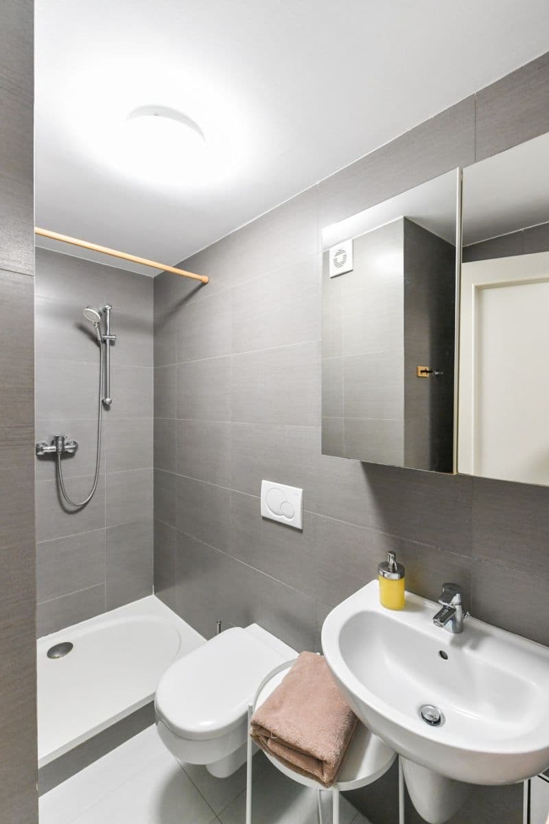 1 bedroom with open-plan kitchen flat for sale, 43 m², Sázavská, Prague, Prague 1 bedroom with open-plan kitchen flat for sale, 43 m², Sázavská, Prague, Prague