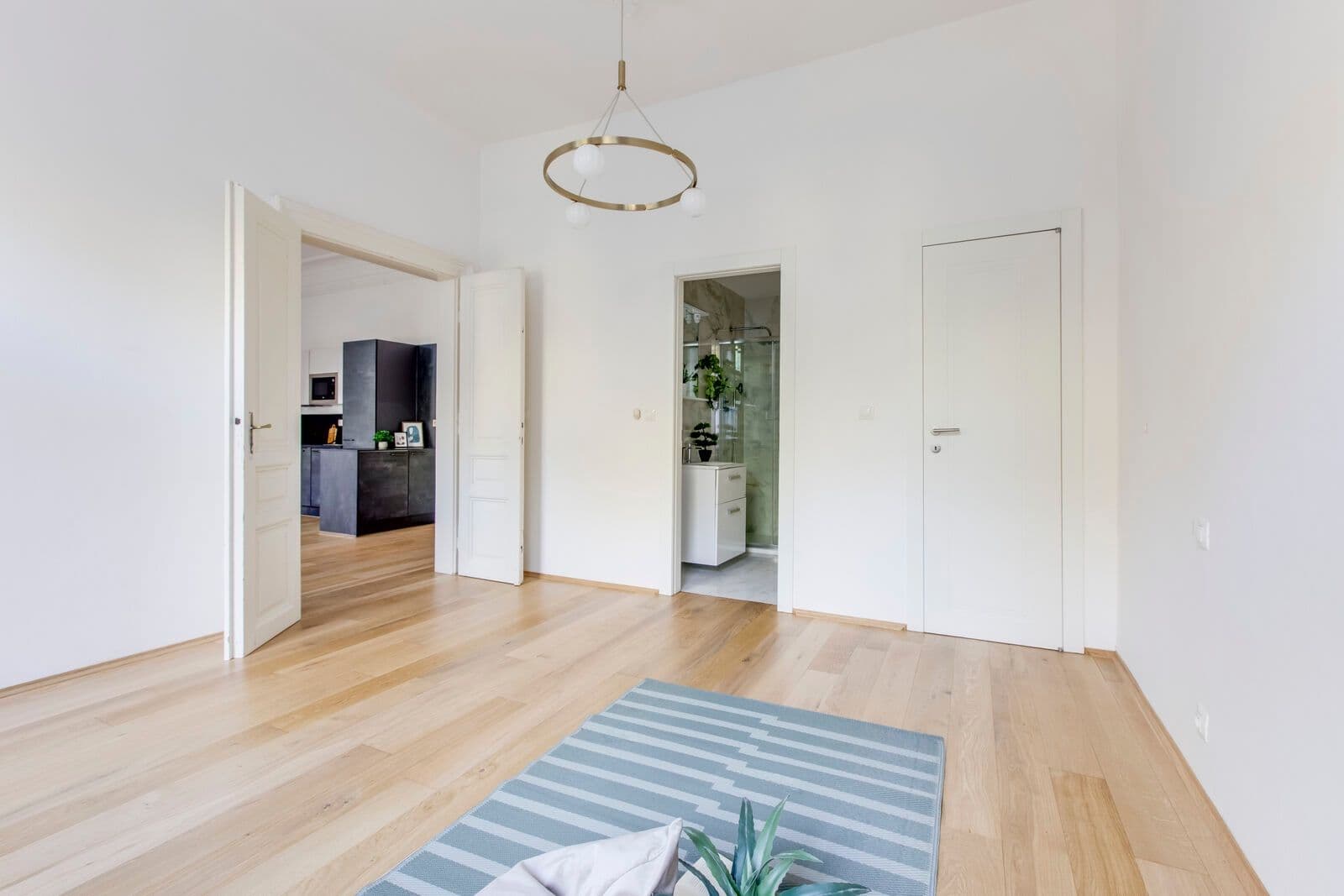1 bedroom with open-plan kitchen flat to rent, 53 m², Kaizlovy sady, Prague, Prague 1 bedroom with open-plan kitchen flat to rent, 53 m², Kaizlovy sady, Prague, Prague