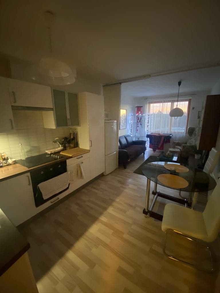 1 bedroom with open-plan kitchen flat to rent, 55 m², U Pivovaru, Benešov, Středočeský Region 1 bedroom with open-plan kitchen flat to rent, 55 m², U Pivovaru, Benešov, Středočeský Region