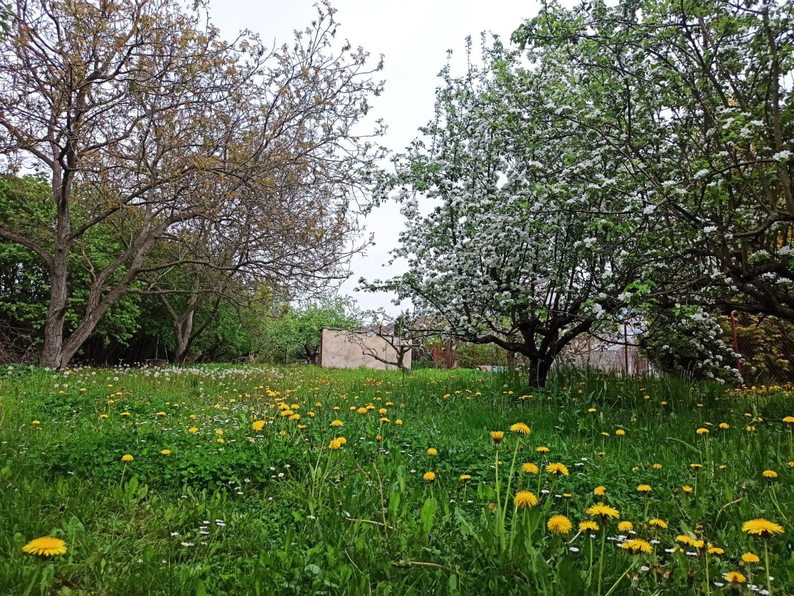 plot for sale, 800 m², Prokopa Holého, Hradec Králové, Královéhradecký Region plot for sale, 800 m², Prokopa Holého, Hradec Králové, Královéhradecký Region