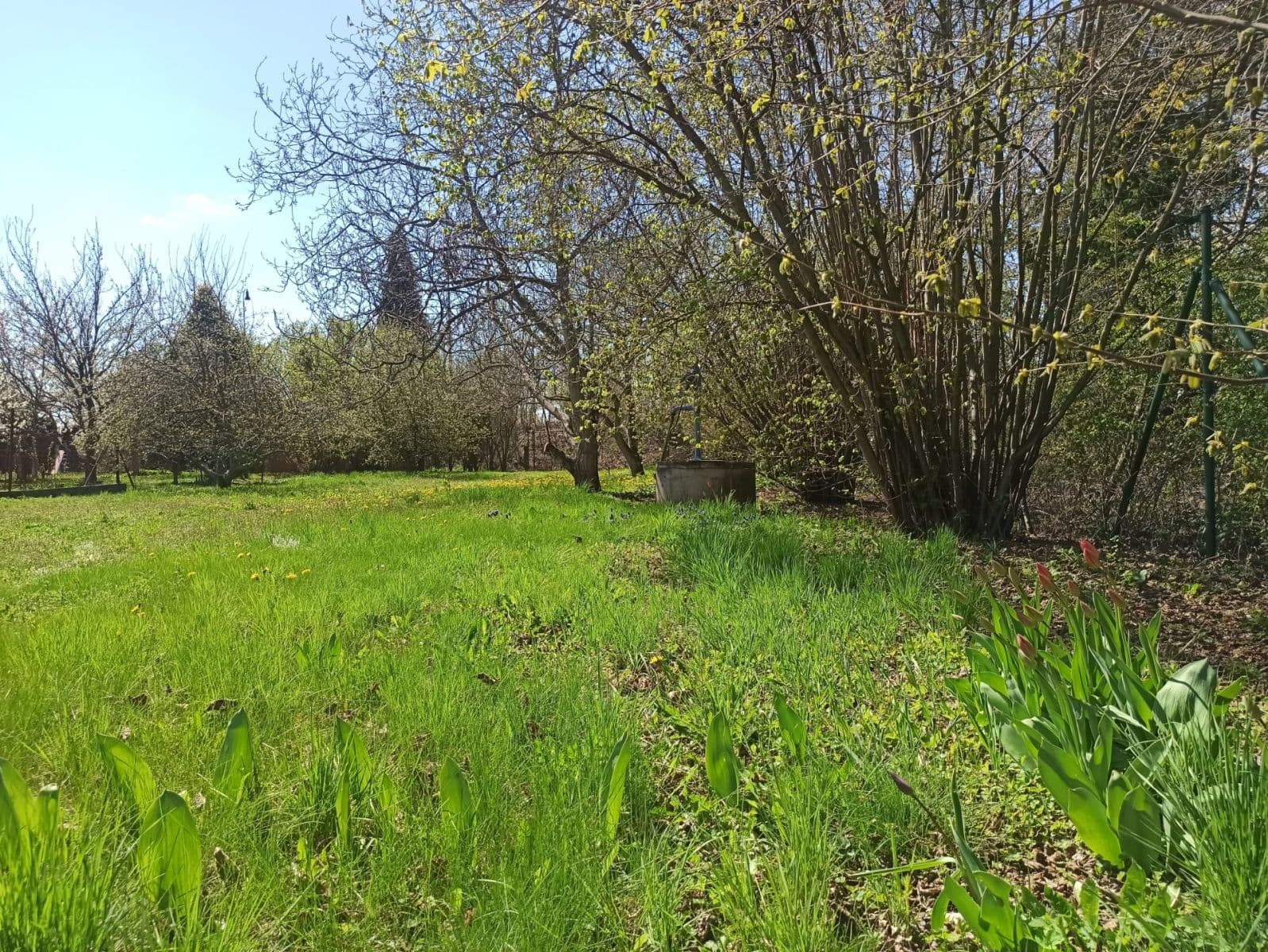 plot for sale, 800 m², Prokopa Holého, Hradec Králové, Královéhradecký Region plot for sale, 800 m², Prokopa Holého, Hradec Králové, Královéhradecký Region