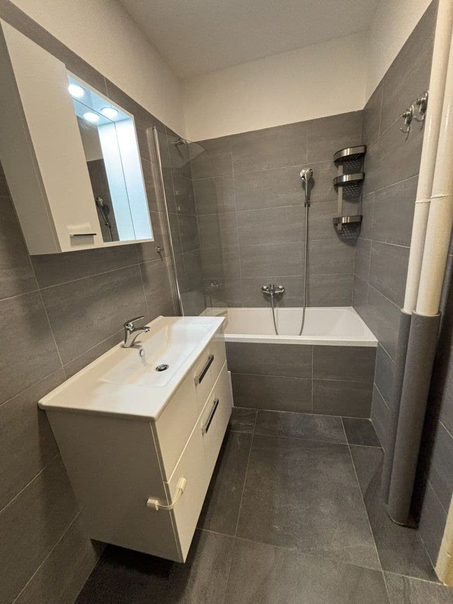 1 bedroom with open-plan kitchen flat to rent, 54 m², Bludovická, Prague, Prague 1 bedroom with open-plan kitchen flat to rent, 54 m², Bludovická, Prague, Prague