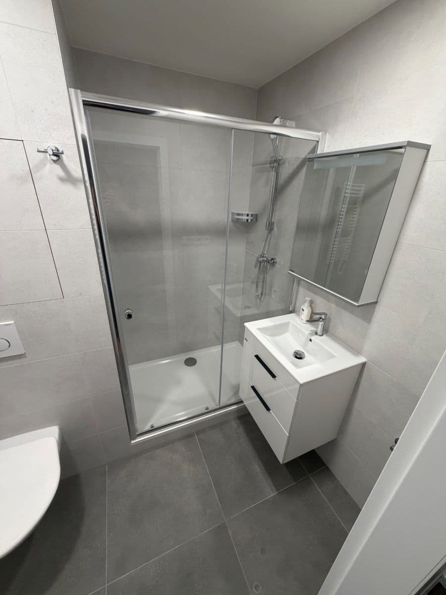 Studio flat to rent, 39 m², Šmolíkova, Prague, Prague Studio flat to rent, 39 m², Šmolíkova, Prague, Prague