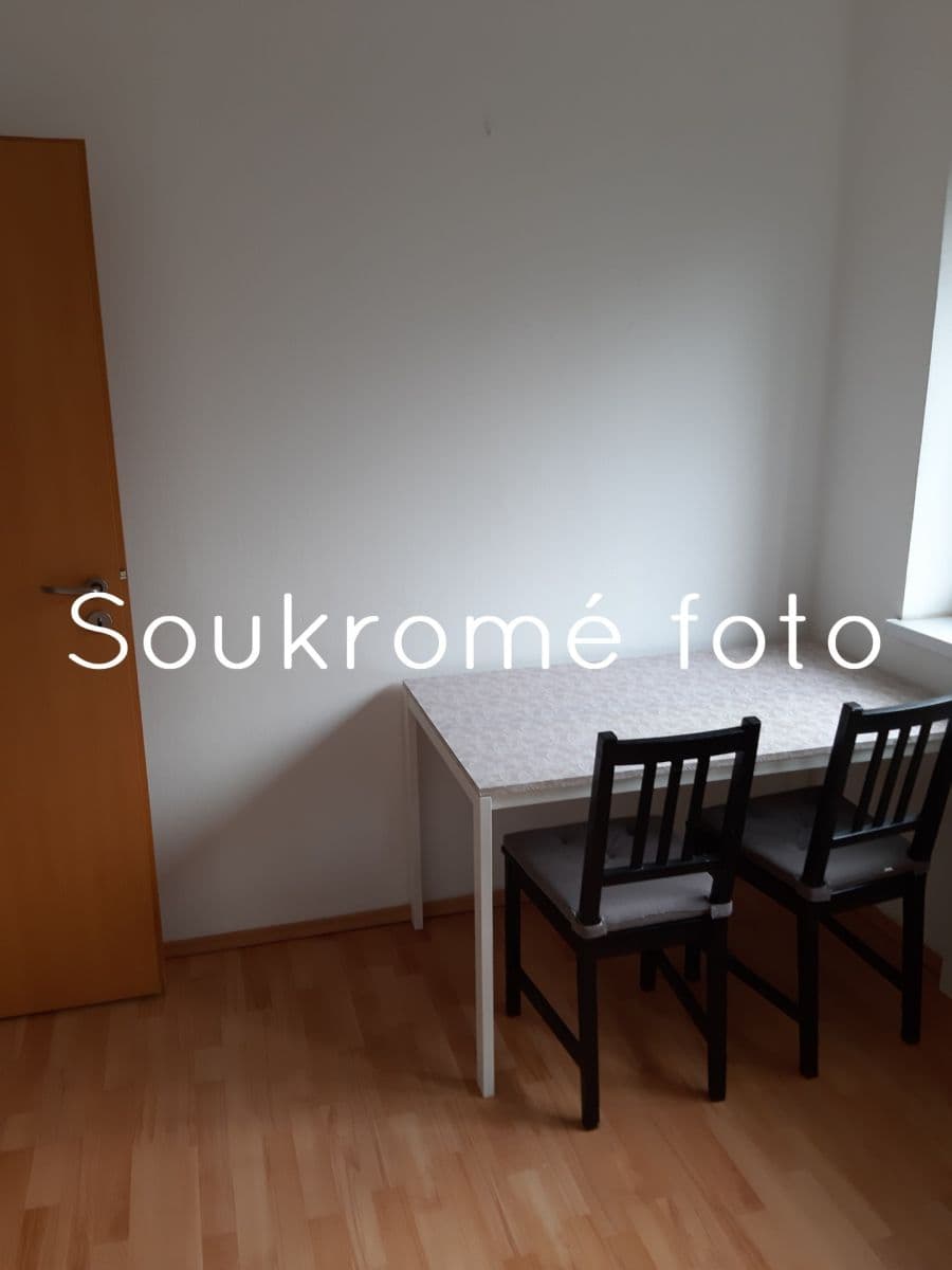 1 bedroom with open-plan kitchen flat to rent, 45 m², Heinemannova, Prague, Prague 1 bedroom with open-plan kitchen flat to rent, 45 m², Heinemannova, Prague, Prague