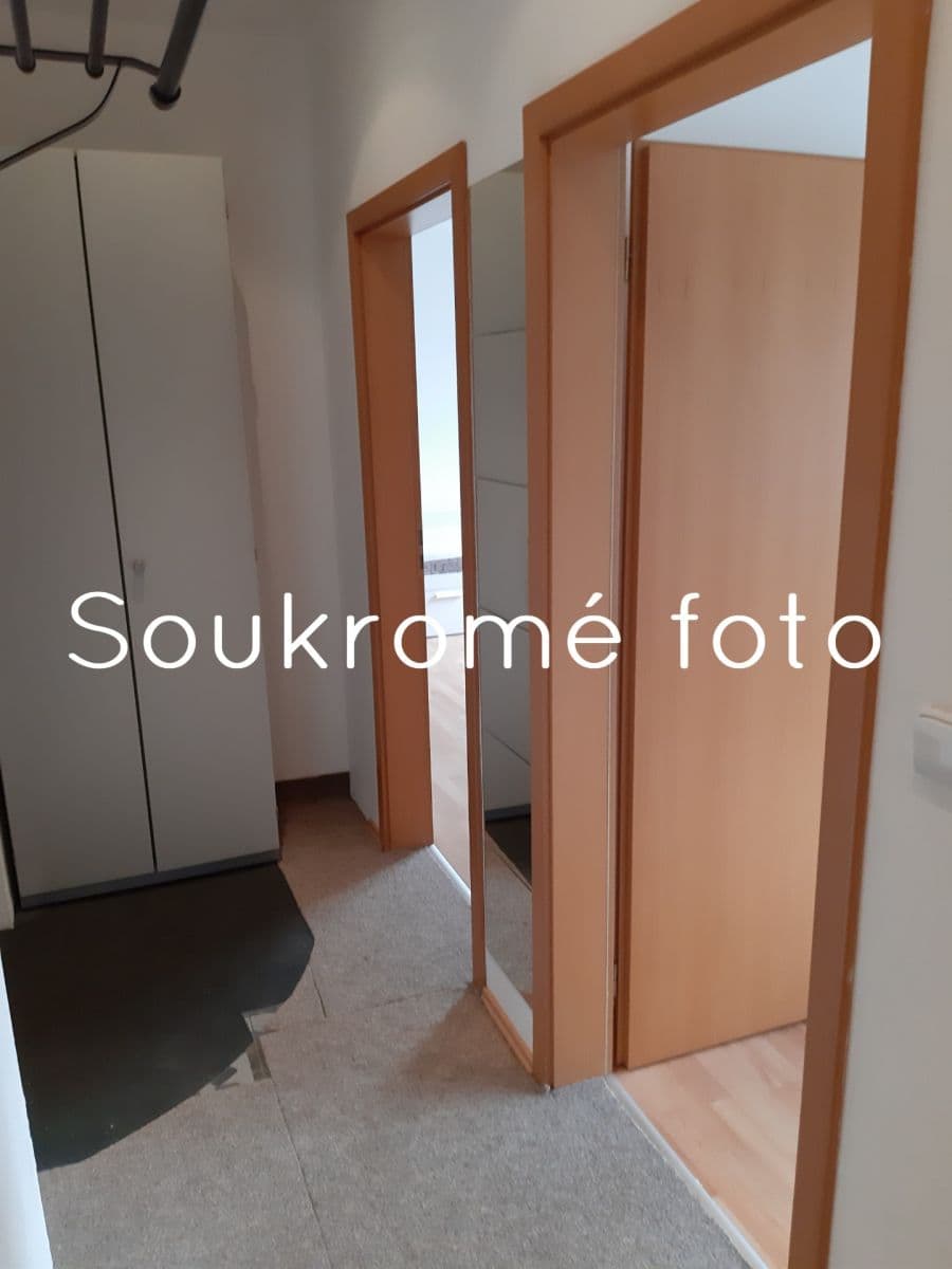 1 bedroom with open-plan kitchen flat to rent, 45 m², Heinemannova, Prague, Prague 1 bedroom with open-plan kitchen flat to rent, 45 m², Heinemannova, Prague, Prague