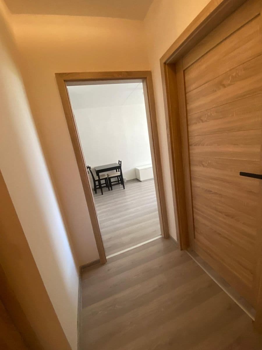 1 bedroom with open-plan kitchen flat to rent, 44 m², Hackerova, Prague, Prague 1 bedroom with open-plan kitchen flat to rent, 44 m², Hackerova, Prague, Prague