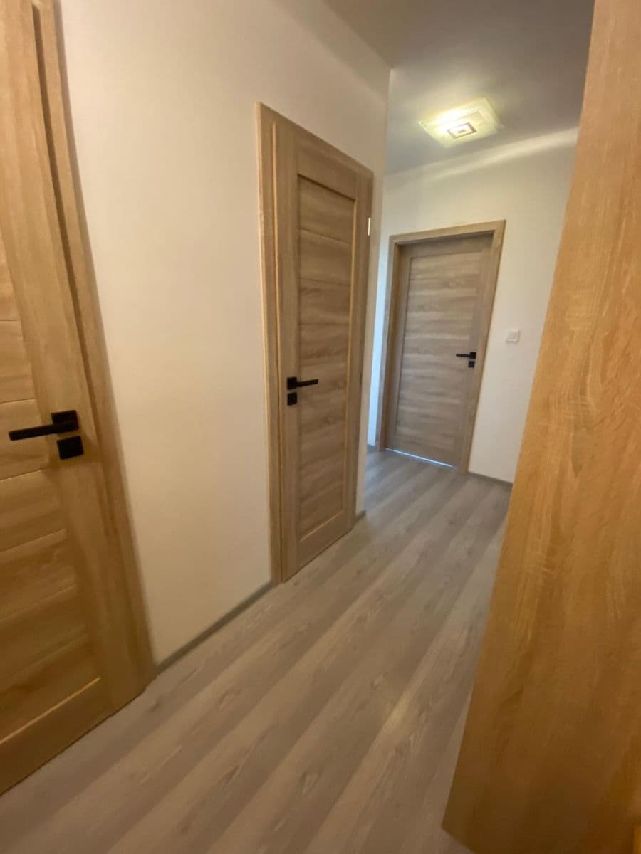 1 bedroom with open-plan kitchen flat to rent, 44 m², Hackerova, Prague, Prague 1 bedroom with open-plan kitchen flat to rent, 44 m², Hackerova, Prague, Prague