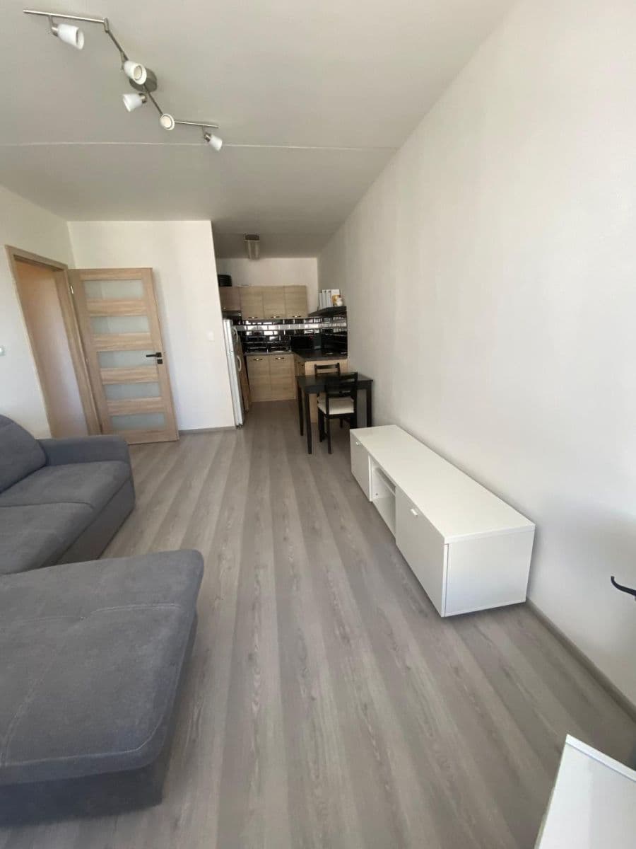 1 bedroom with open-plan kitchen flat to rent, 44 m², Hackerova, Prague, Prague 1 bedroom with open-plan kitchen flat to rent, 44 m², Hackerova, Prague, Prague