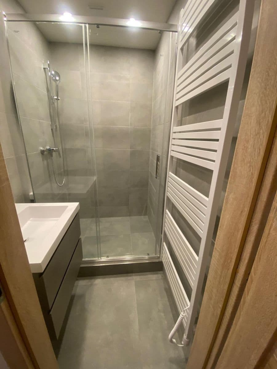 1 bedroom with open-plan kitchen flat to rent, 44 m², Hackerova, Prague, Prague 1 bedroom with open-plan kitchen flat to rent, 44 m², Hackerova, Prague, Prague