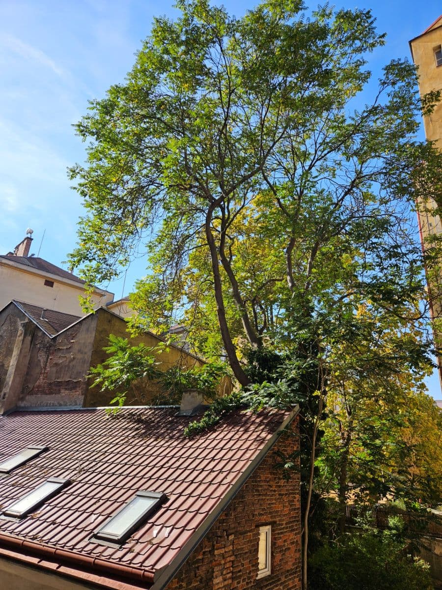 2 bedroom flat to rent, 65 m², Krásova, Prague, Prague 2 bedroom flat to rent, 65 m², Krásova, Prague, Prague