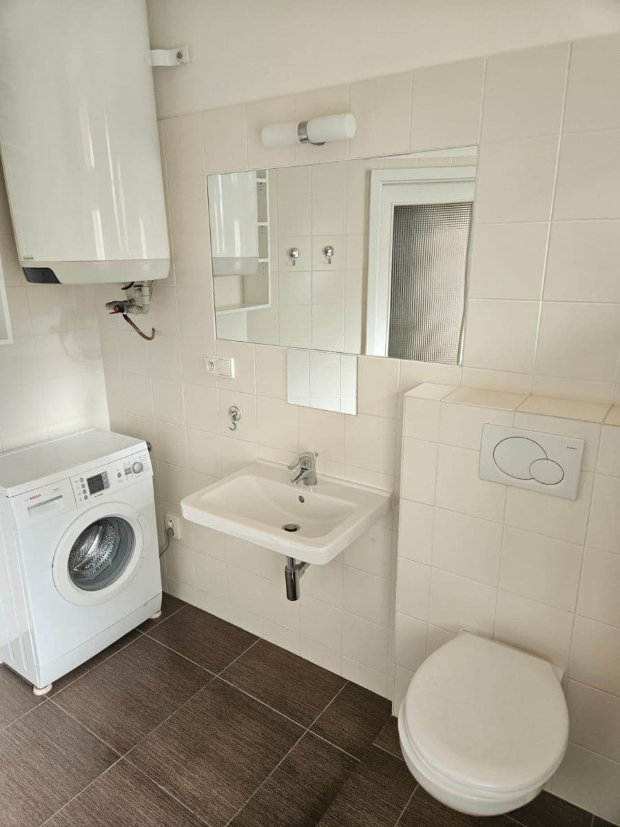 1 bedroom with open-plan kitchen flat to rent, 43 m², Družstevní, Prague, Prague 1 bedroom with open-plan kitchen flat to rent, 43 m², Družstevní, Prague, Prague