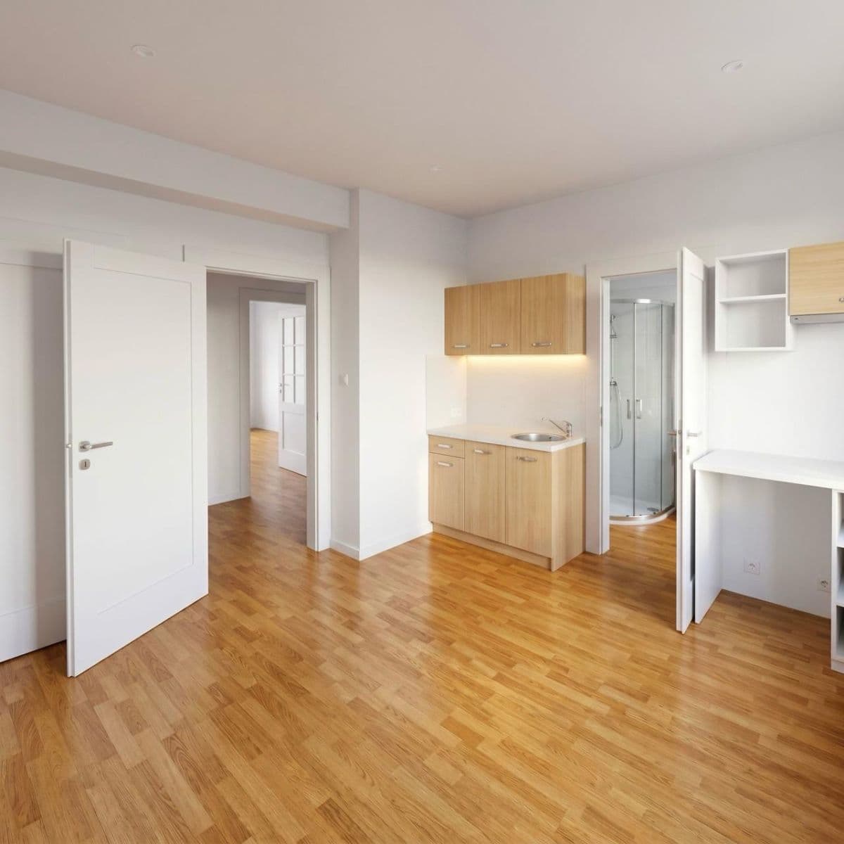 1 bedroom with open-plan kitchen flat to rent, 43 m², V podhájí, Prague, Prague 1 bedroom with open-plan kitchen flat to rent, 43 m², V podhájí, Prague, Prague