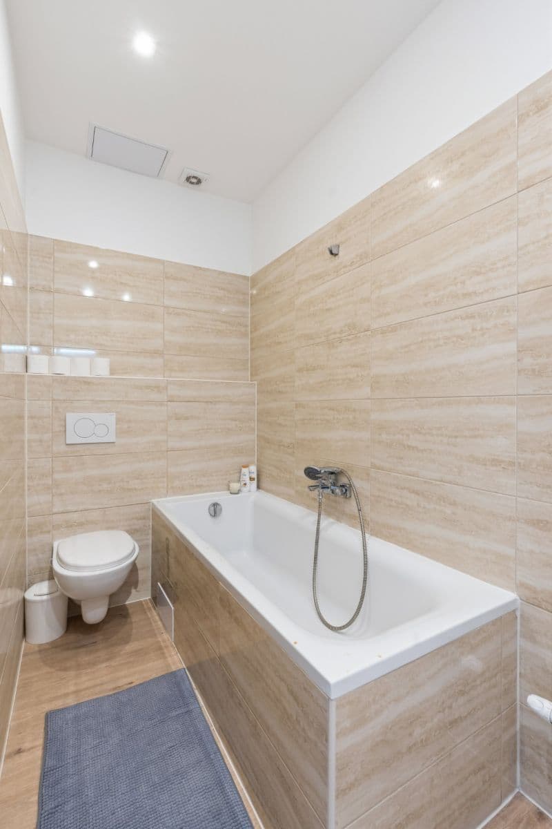 1 bedroom with open-plan kitchen flat to rent, 53 m², Košická, Prague, Prague 1 bedroom with open-plan kitchen flat to rent, 53 m², Košická, Prague, Prague