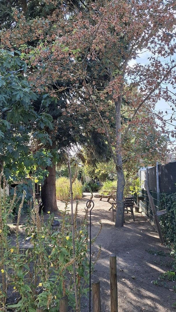house for sale, 456 m², Lambsheim, Rhineland-Palatinate house for sale, 456 m², Lambsheim, Rhineland-Palatinate