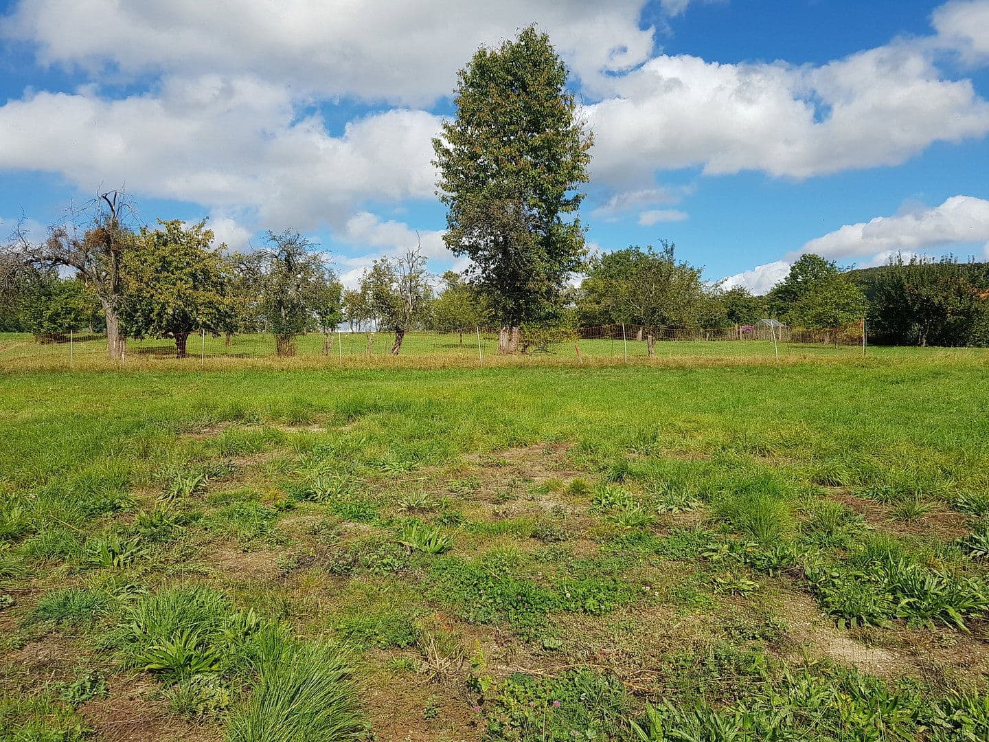 plot for sale, 650 m², Plech, Bavaria plot for sale, 650 m², Plech, Bavaria