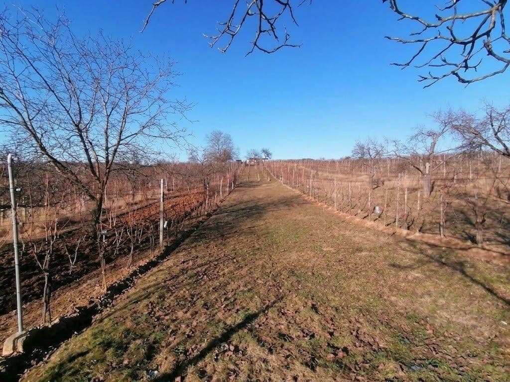 plot for sale, 2,596 m², Bzenec, Jihomoravský Region plot for sale, 2,596 m², Bzenec, Jihomoravský Region