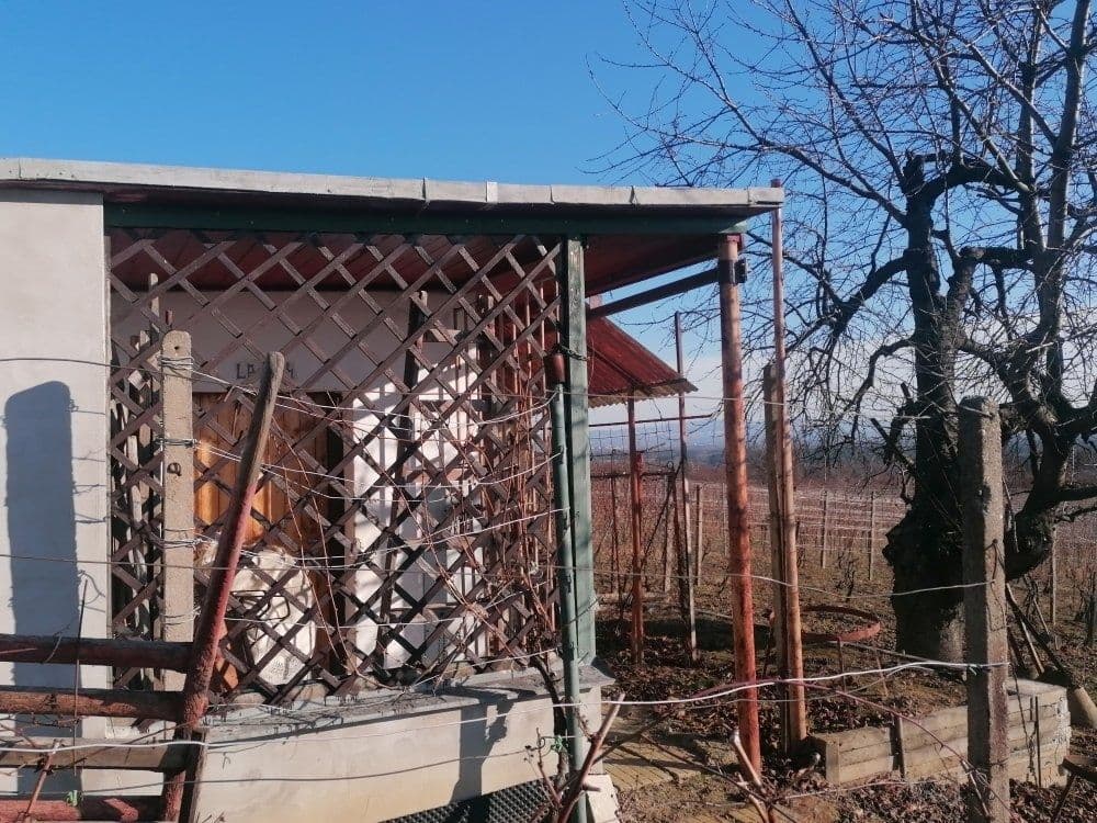 plot for sale, 2,596 m², Bzenec, Jihomoravský Region plot for sale, 2,596 m², Bzenec, Jihomoravský Region