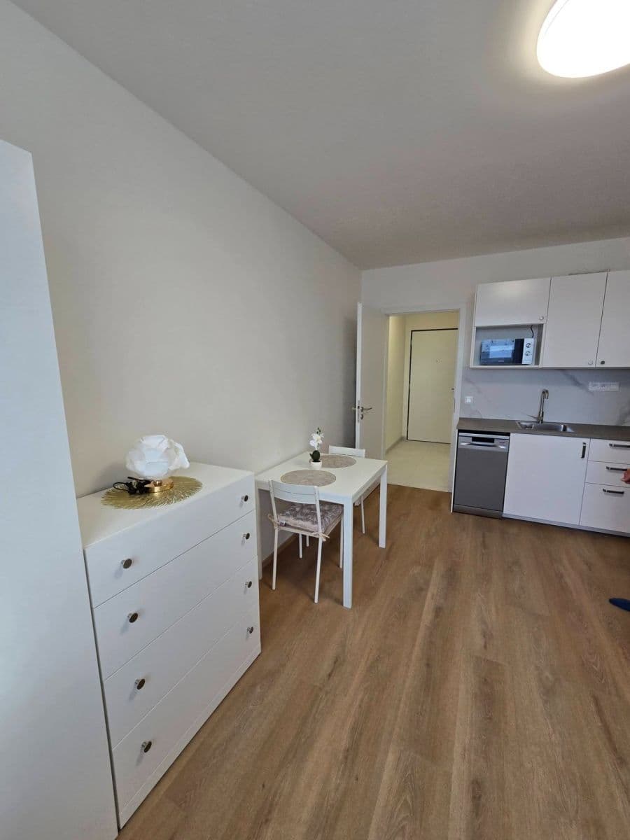 Studio flat to rent, 26 m², Za Novákovou zahradou, Prague, Prague Studio flat to rent, 26 m², Za Novákovou zahradou, Prague, Prague