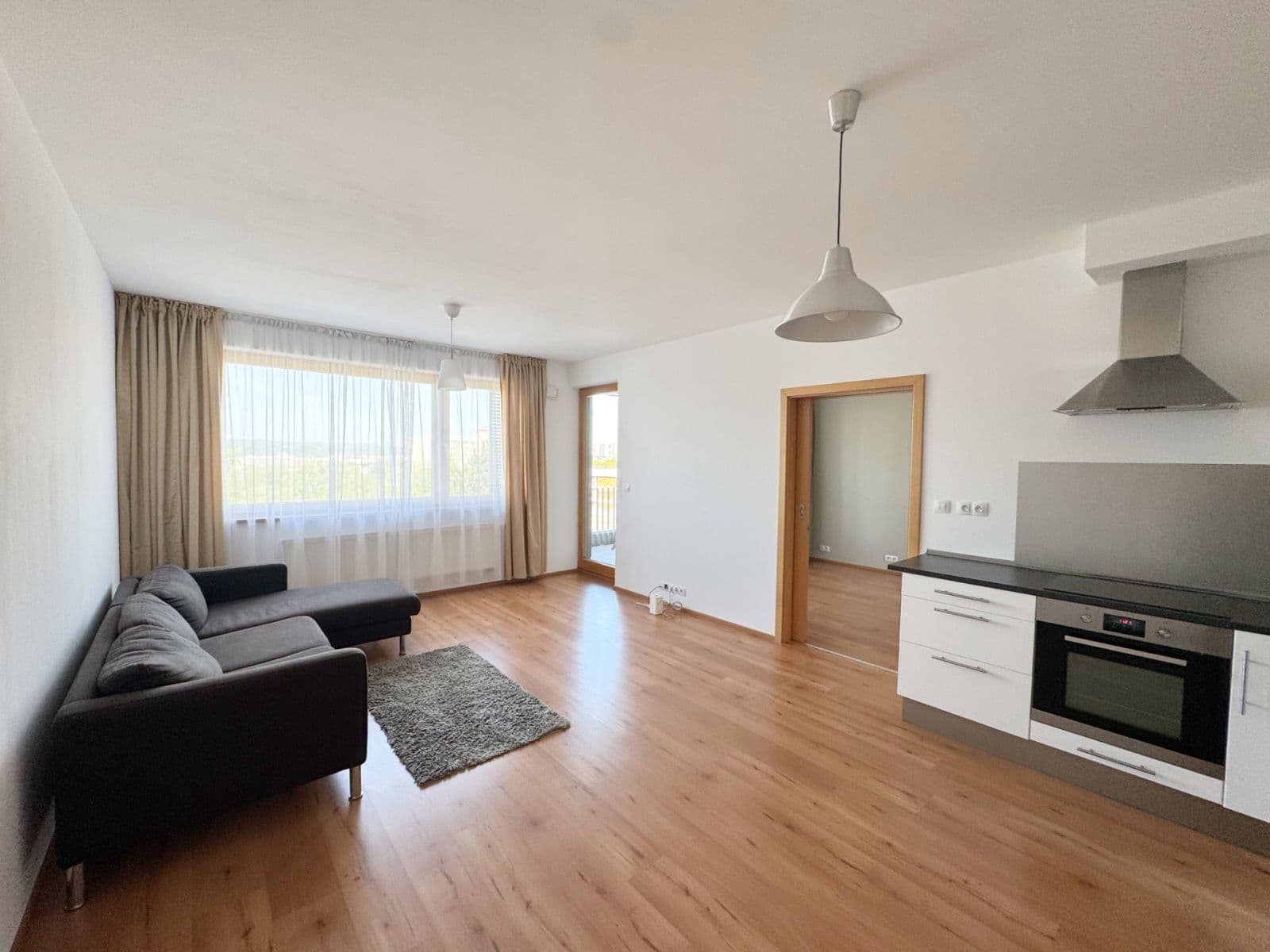 1 bedroom with open-plan kitchen flat to rent, 62 m², Generála Šišky, Prague, Prague 1 bedroom with open-plan kitchen flat to rent, 62 m², Generála Šišky, Prague, Prague