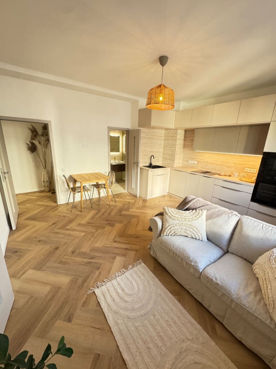 1 bedroom with open-plan kitchen flat for sale, 48 m², Nad Kajetánkou, Prague, Prague 1 bedroom with open-plan kitchen flat for sale, 48 m², Nad Kajetánkou, Prague, Prague