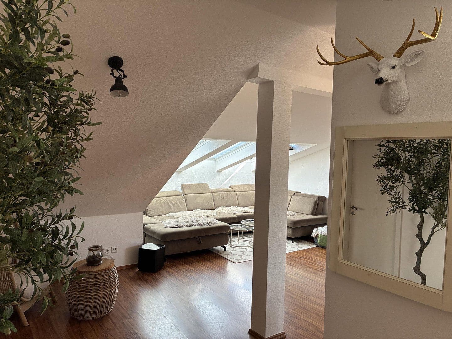 3 bedroom flat to rent, 80 m², Maxim-Gorki-Str., Dresden, Saxony 3 bedroom flat to rent, 80 m², Maxim-Gorki-Str., Dresden, Saxony