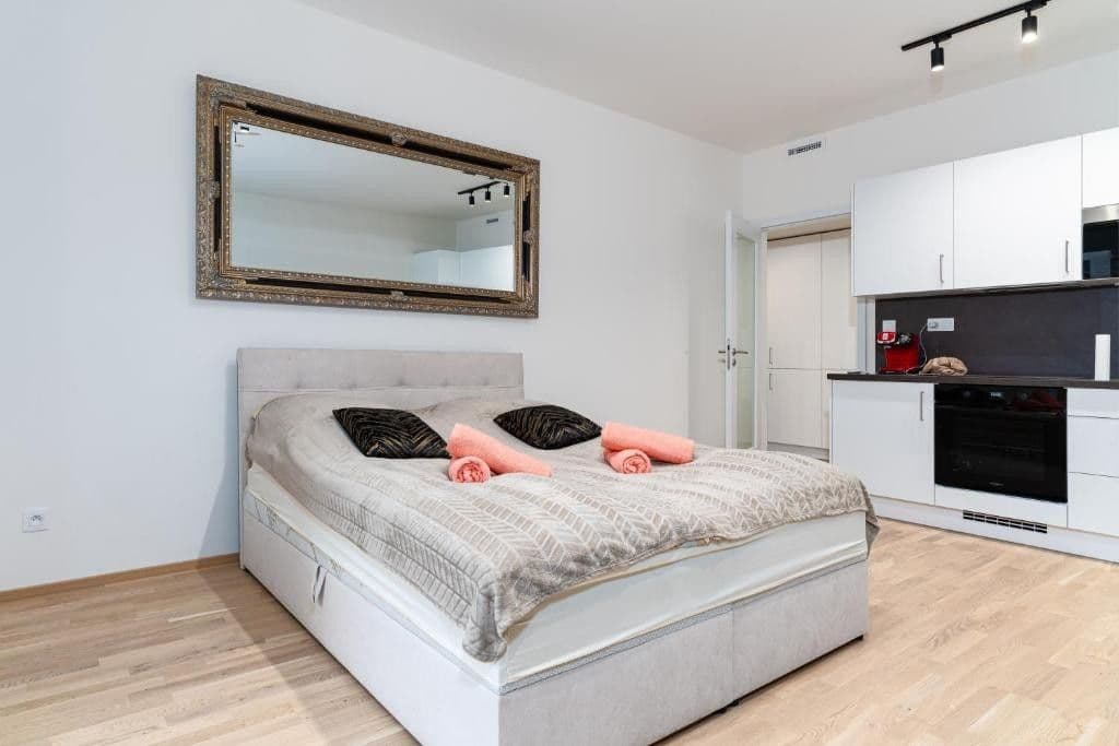 2 bedroom with open-plan kitchen flat to rent, 129 m², Albrightové, Prague, Prague 2 bedroom with open-plan kitchen flat to rent, 129 m², Albrightové, Prague, Prague